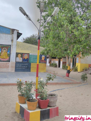 Chirala | Andhra Pradesh | India | Schools | tringcity.in | Sri Vidya