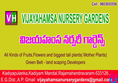 VijayaHamsa Nursery Gardens