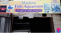 Fish Aquarium Shop