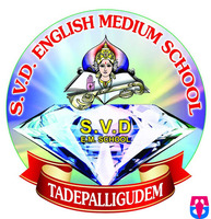 S.V.D Public School