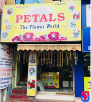 PETALS (The Flower world)