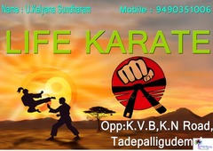 Life Karate
