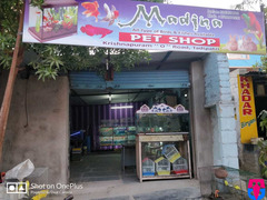 Madina Pet Shop