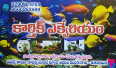 Karthik Aquariums