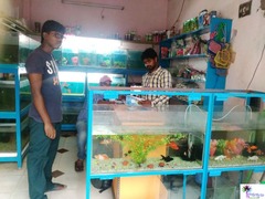 Kan's Aquarium Bhimavaram